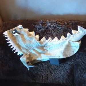 Dinosaur small dog costume